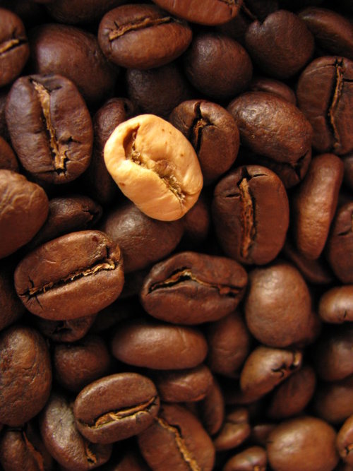 Light Roast Good…Dark Roast Baaaaaaaaaaad