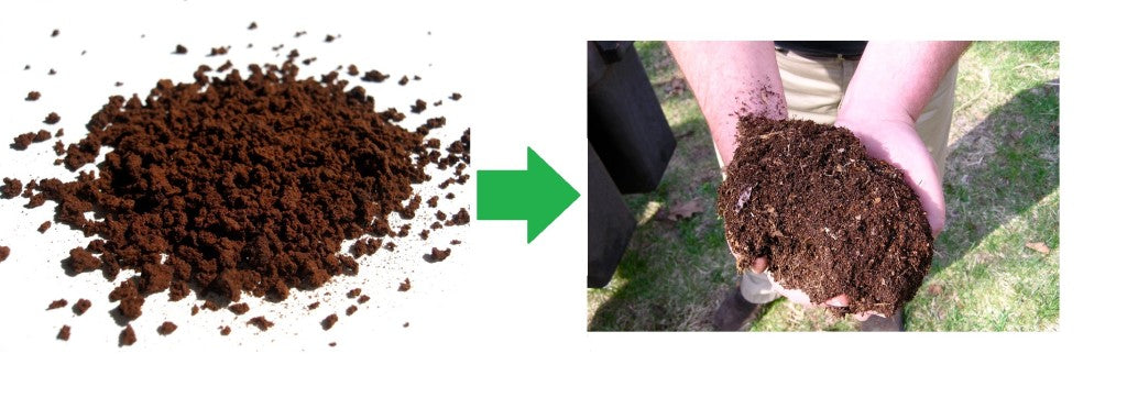 Coffee Compost