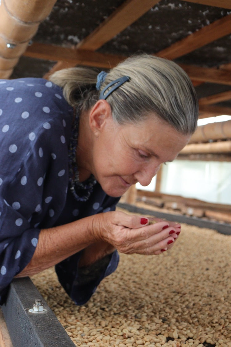 Colombia Quindío Pink Bourbon 