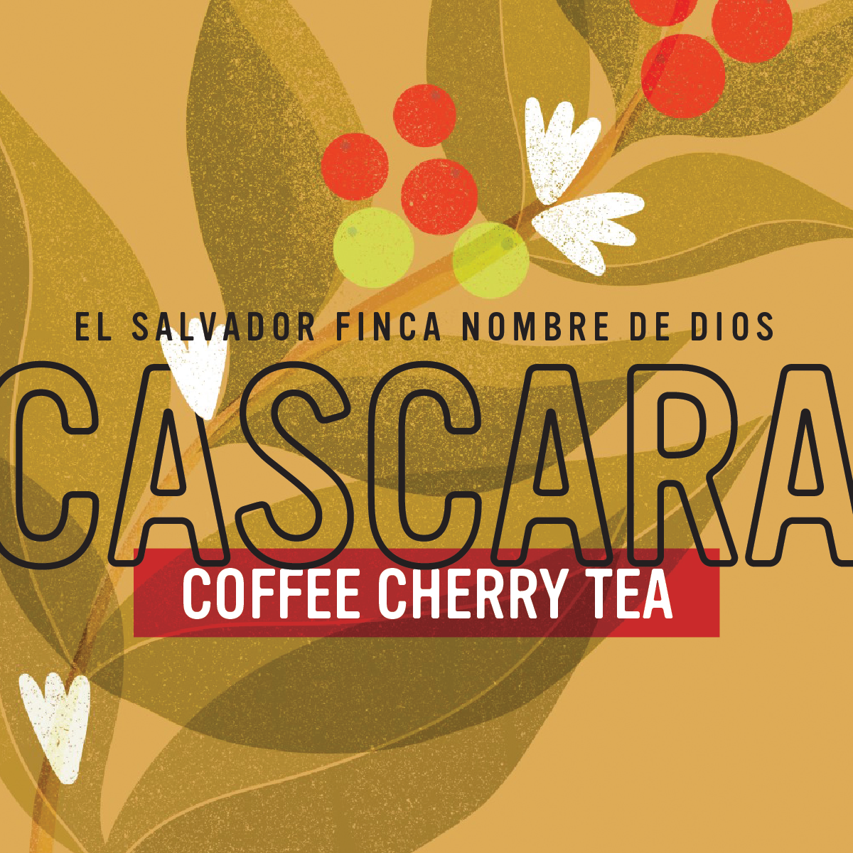 Cascara: Coffee Cherry Tea 6oz